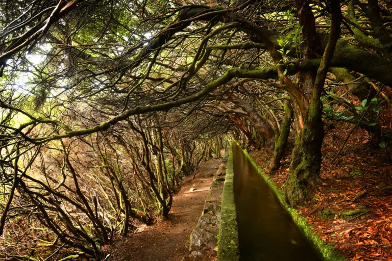Madeira Walking Holidays