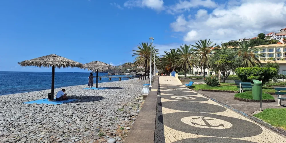 madeira Santa Cruz