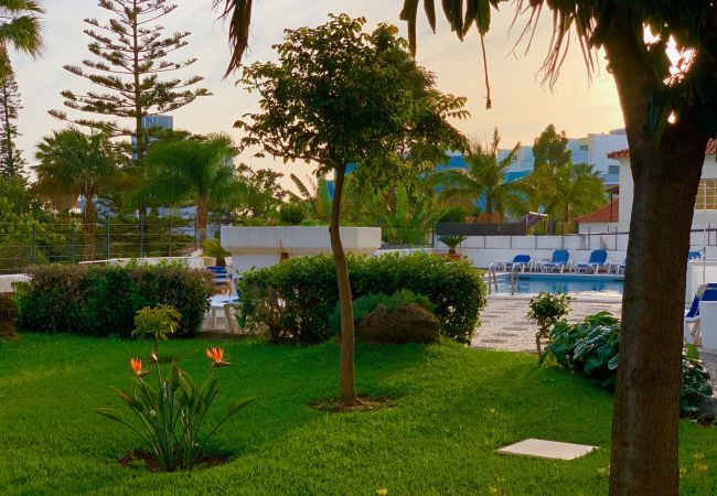 Baugarten zur Unterbringung vorhanden Gemeinschaftsgarten der Lodge