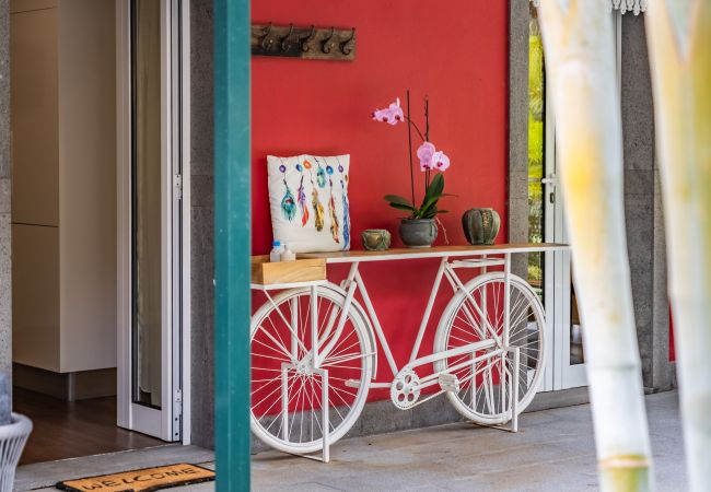 Ferienhaus in Ponta do Sol - Quinta da tia Briosa, Casa da Avó Ferienhaus in Ponta do Sol - Quinta da tia Briosa, Casa da Avó