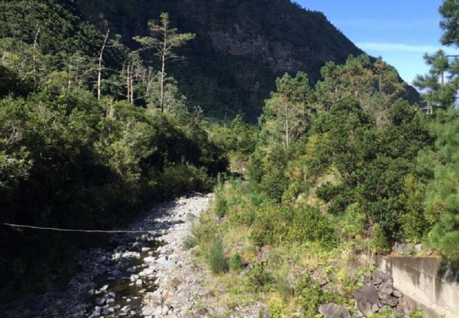 Landhaus in Porto Moniz - Retiro na Natureza by Madeira Sun Travel Landhaus in Porto Moniz - Retiro na Natureza by Madeira Sun Travel
