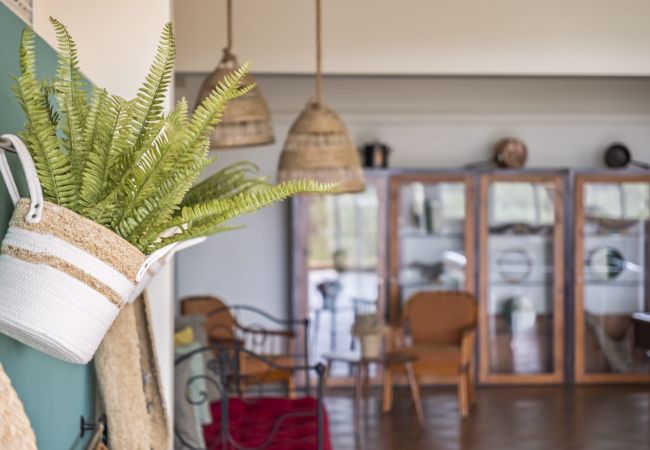 Studio in Porto Moniz - Casas do Salão - Mangerona by Homie Studio in Porto Moniz - Casas do Salão - Mangerona by Homie