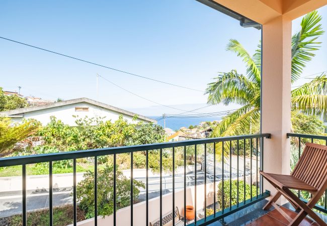 Ferienhaus in Ponta Delgada - Palm Tree House by Madeira Sun Travel Ferienhaus in Ponta Delgada - Palm Tree House by Madeira Sun Travel