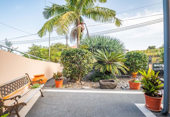 Ferienhaus in Ponta Delgada - Palm Tree House by Madeira Sun Travel Ferienhaus in Ponta Delgada - Palm Tree House by Madeira Sun Travel
