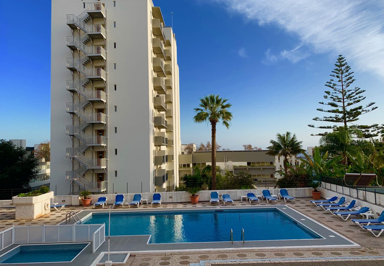 Gran piscina compartida en una zona soleada. Gran piscina compartida