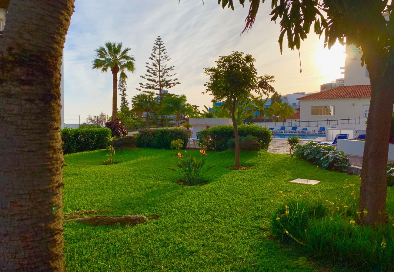Jardines decorativos alrededor del edificio. Exterior común del alojamiento junto a la piscina