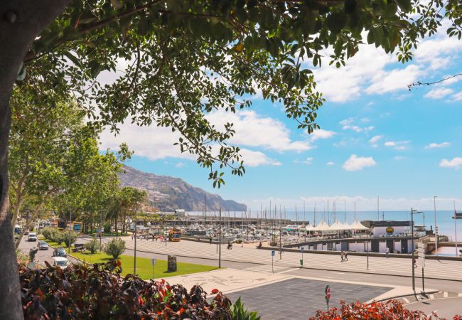 Apartamento en Funchal - MIO Apartment by Madeira Sun Travel Apartamento en Funchal - MIO Apartment by Madeira Sun Travel