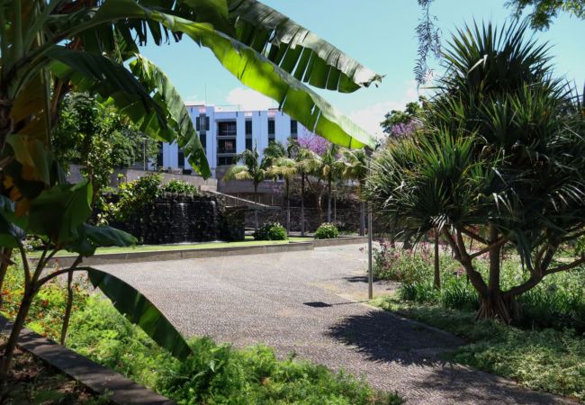Apartamento en Funchal - MIO Apartment by Madeira Sun Travel Apartamento en Funchal - MIO Apartment by Madeira Sun Travel