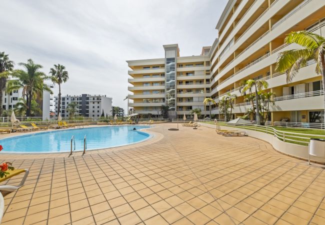 Apartamento en Funchal - Apartamento Vale Verde by Homie Apartamento en Funchal - Apartamento Vale Verde by Homie