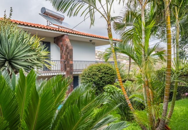 Casa en Estreito Câmara de Lobos - Casa Olimpo by Homie Casa en Estreito Câmara de Lobos - Casa Olimpo by Homie