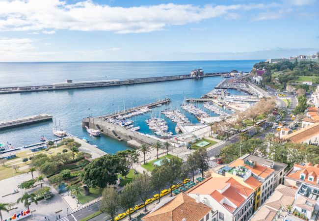 Apartamento en Funchal - King David Suites 201 by Madeira Sun Travel Apartamento en Funchal - King David Suites 201 by Madeira Sun Travel