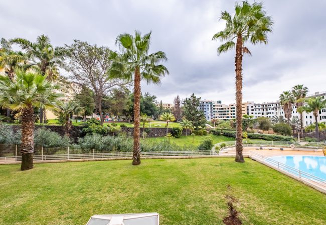 Apartamento en Funchal - Lux Garden View by Madeira Sun Travel Apartamento en Funchal - Lux Garden View by Madeira Sun Travel