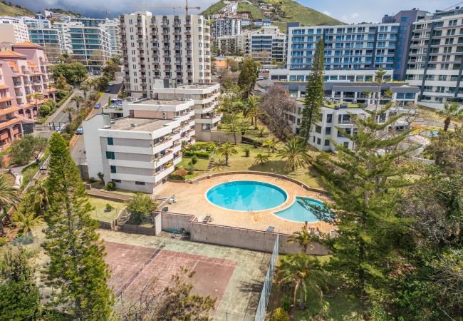 Apartamento en Funchal - Summertime Stay by Madeira Sun Travel Apartamento en Funchal - Summertime Stay by Madeira Sun Travel