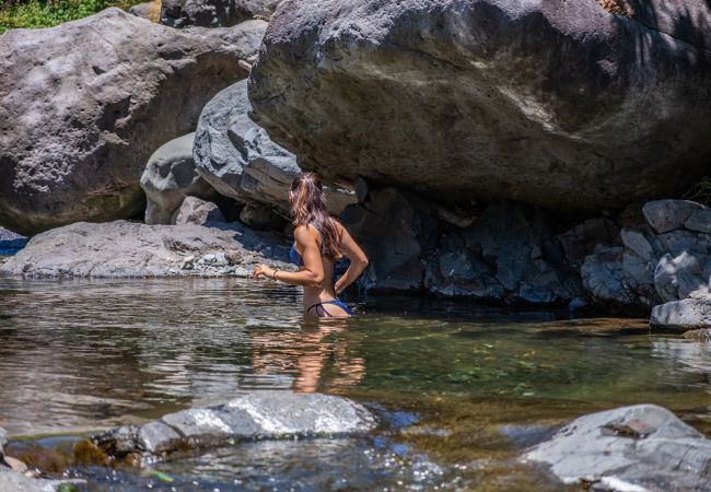 Apartamento en Curral das Freiras - Coração da Madeira - Cidrão by Madeira Sun Travel Apartamento en Curral das Freiras - Coração da Madeira - Cidrão by Madeira Sun Travel