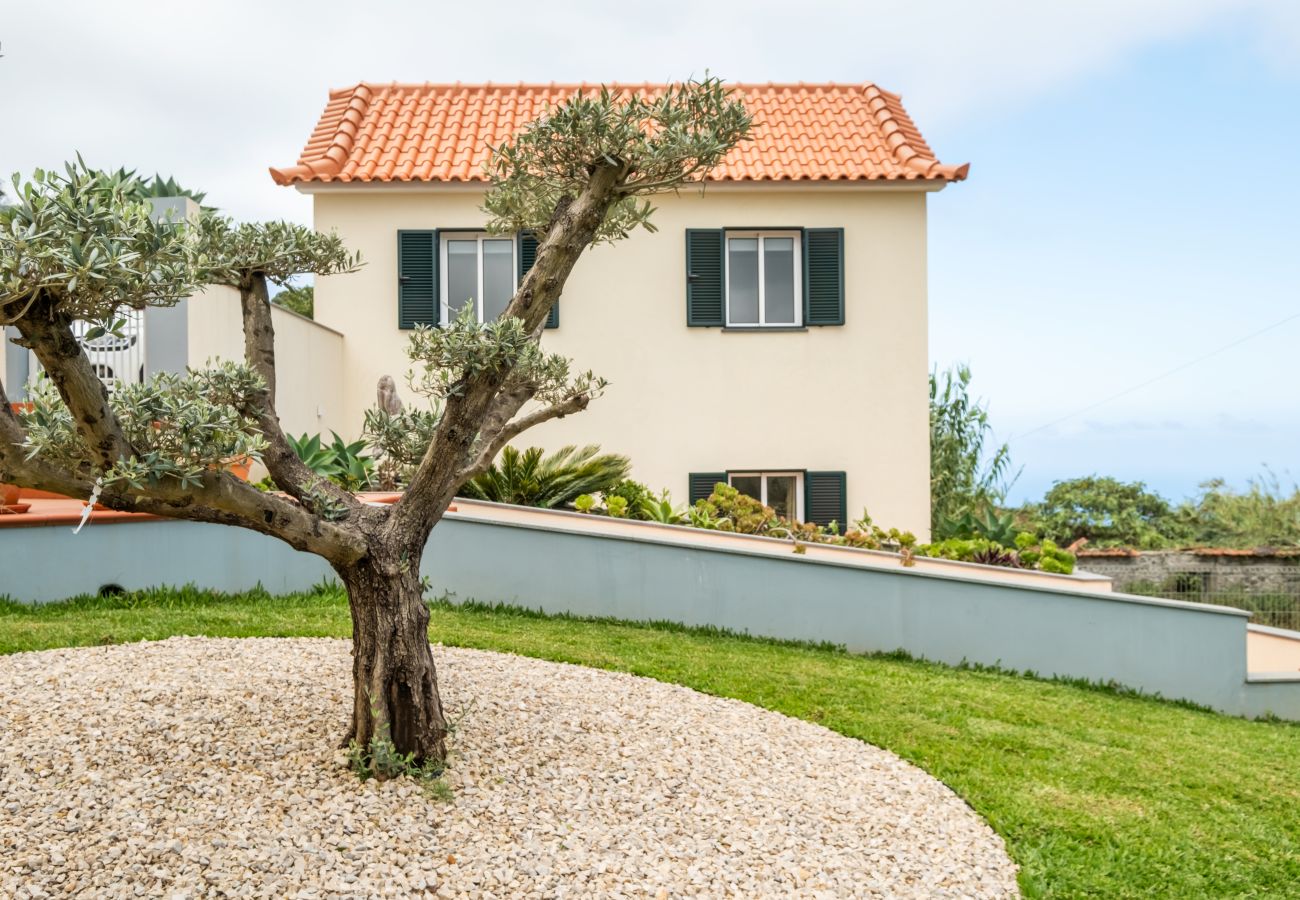 Casa rural en Porto Moniz - Palheiro Simone by Homie Casa rural en Porto Moniz - Palheiro Simone by Homie