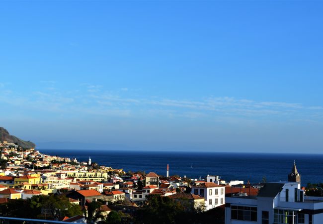 Maison à Funchal - Funchal Window City Center by Madeira Sun Travel Maison à Funchal - Funchal Window City Center by Madeira Sun Travel