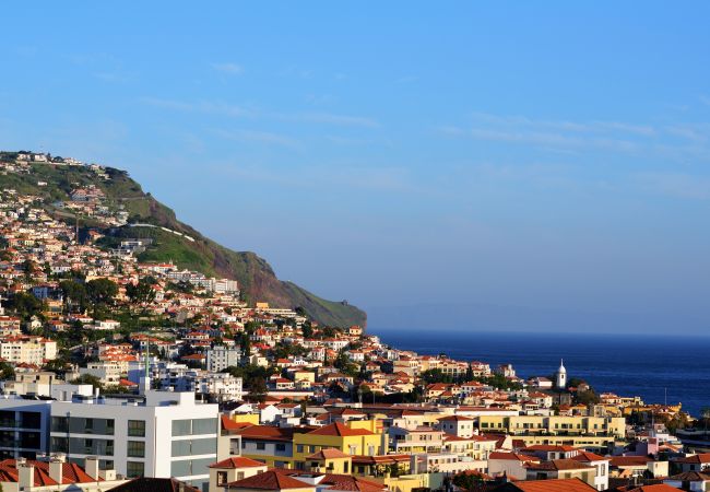 Maison à Funchal - Funchal Window City Center by Madeira Sun Travel Maison à Funchal - Funchal Window City Center by Madeira Sun Travel