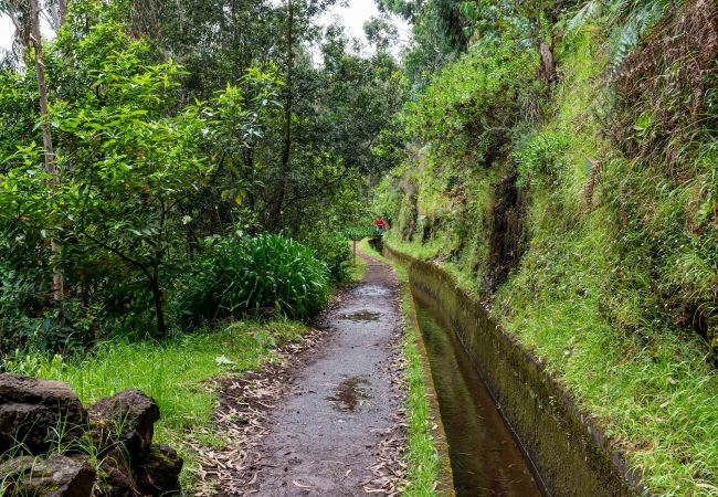 Gîte Rural à Porto Moniz - Chalet do Monte Porto Moniz by Madeira Sun Travel Gîte Rural à Porto Moniz - Chalet do Monte Porto Moniz by Madeira Sun Travel