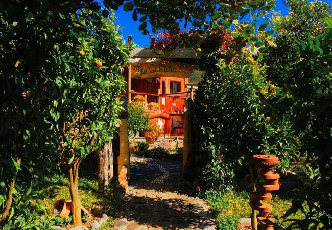 Bungalow à Calheta - Casas Maravilha - Cabana by Homie Bungalow à Calheta - Casas Maravilha - Cabana by Homie
