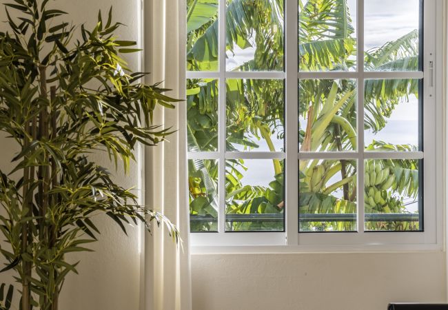 Maison à Canhas - Sunny House by Madeira Sun Travel Maison à Canhas - Sunny House by Madeira Sun Travel