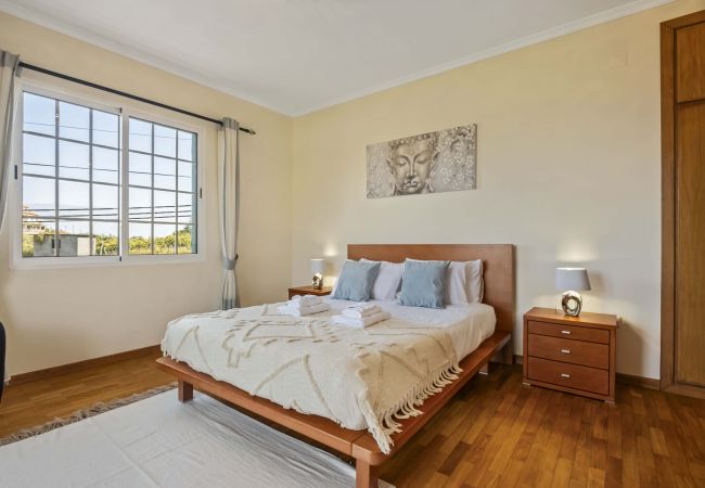 Maison à Ponta Delgada - Palm Tree House by Madeira Sun Travel Maison à Ponta Delgada - Palm Tree House by Madeira Sun Travel