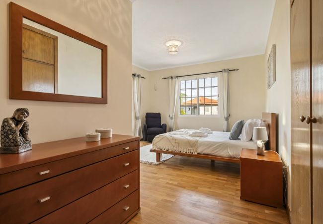 Maison à Ponta Delgada - Palm Tree House by Madeira Sun Travel Maison à Ponta Delgada - Palm Tree House by Madeira Sun Travel