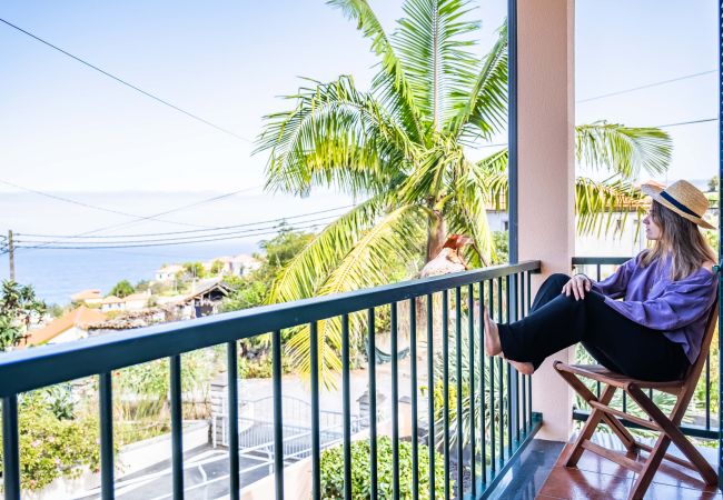 Maison à Ponta Delgada - Palm Tree House by Madeira Sun Travel Maison à Ponta Delgada - Palm Tree House by Madeira Sun Travel