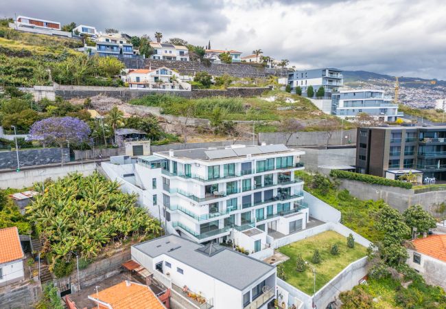 Appartement à Funchal - The Ocean Gaze by Madeira Sun Travel Appartement à Funchal - The Ocean Gaze by Madeira Sun Travel