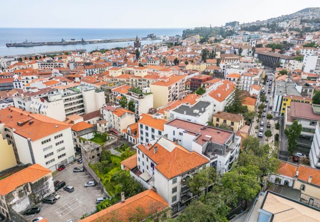 Appartement à Funchal - Urban Stay 3A by Madeira Sun Travel Appartement à Funchal - Urban Stay 3A by Madeira Sun Travel