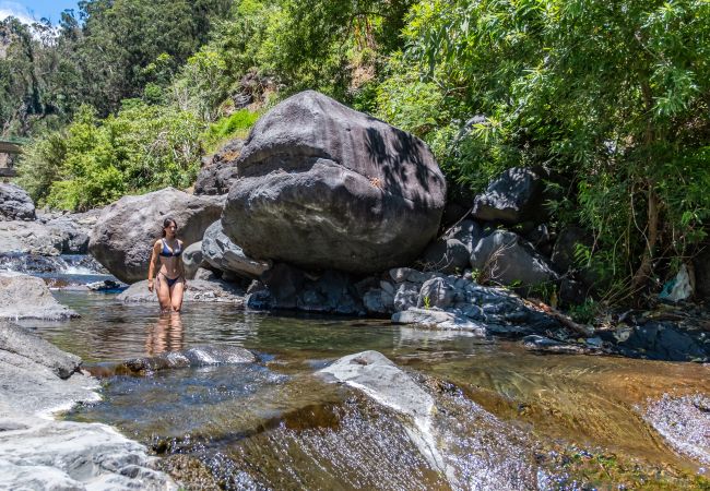 Appartement à Curral das Freiras - Coração da Madeira - Torre by Madeira Sun Travel Appartement à Curral das Freiras - Coração da Madeira - Torre by Madeira Sun Travel
