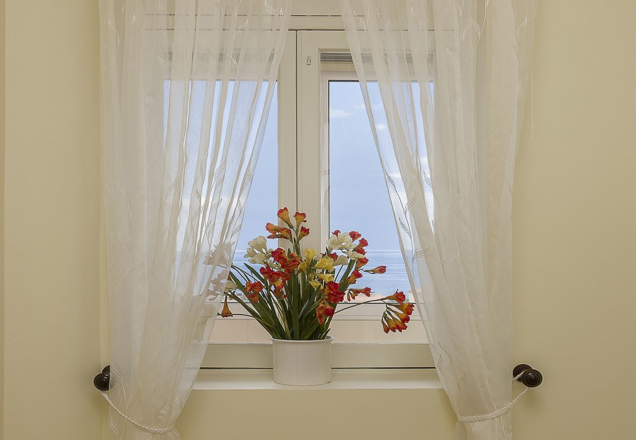 Funchal Window City Center House Janela com vaso de flores