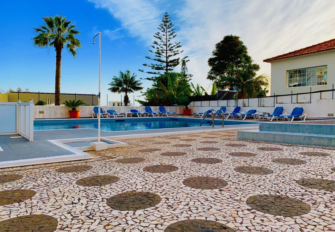 solário e zona de estar á volta da piscina Piscina