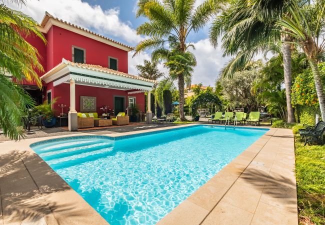 Apartamento em Ponta do Sol - Quinta da Tia Briosa, Palheiro I Apartamento em Ponta do Sol - Quinta da Tia Briosa, Palheiro I