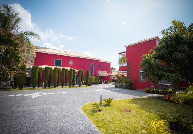 Apartamento em Ponta do Sol - Quinta da Tia Briosa, Palheiro II Apartamento em Ponta do Sol - Quinta da Tia Briosa, Palheiro II