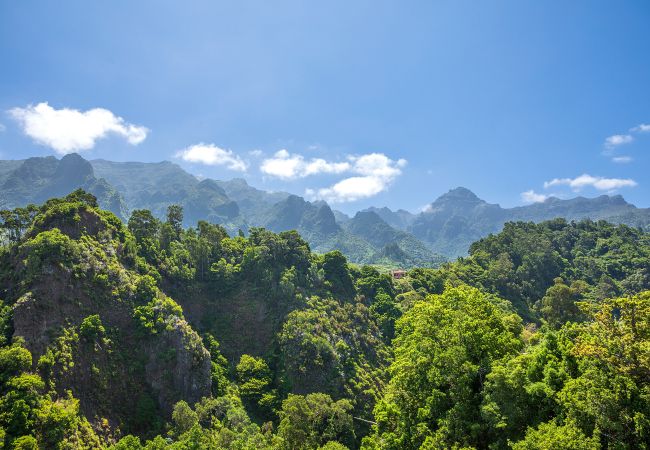 Casa rural em São Vicente - Vila do Largo B by Madeira Sun Travel Casa rural em São Vicente - Vila do Largo B by Madeira Sun Travel