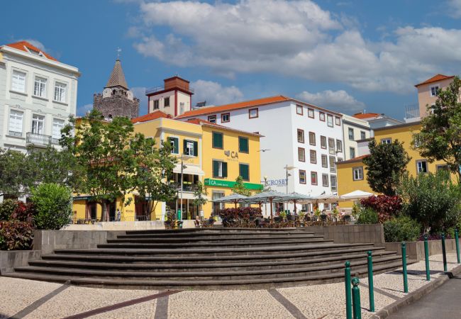 Apartamento em Funchal - MIO Apartment by Madeira Sun Travel Apartamento em Funchal - MIO Apartment by Madeira Sun Travel