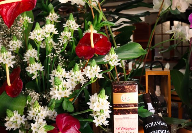 Apartamento em Funchal - MIO Apartment by Madeira Sun Travel Apartamento em Funchal - MIO Apartment by Madeira Sun Travel