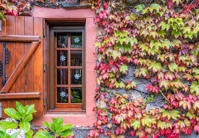 Chalet em Santana - Villa Achada da Mouca by Homie Chalet em Santana - Villa Achada da Mouca by Homie