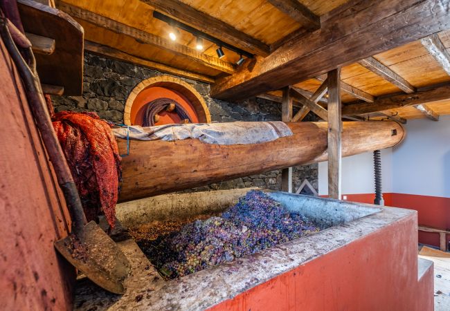 Alojamento de turismo rural em Ponta do Sol - Casas da Luz - Casa da Mãe by Homie Alojamento de turismo rural em Ponta do Sol - Casas da Luz - Casa da Mãe by Homie