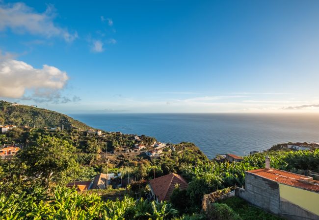 Quarto em Calheta - White Rabbit I by Homie Quarto em Calheta - White Rabbit I by Homie