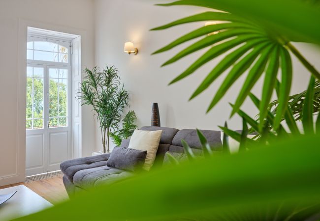 Apartamento em Funchal - Luna Rossa - Artcooking by Madeira Sun Travel Apartamento em Funchal - Luna Rossa - Artcooking by Madeira Sun Travel