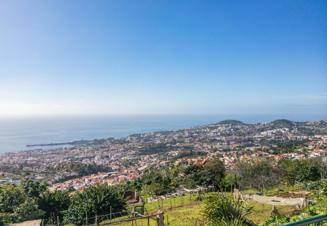 Casa em Funchal - Skyline Heights by Madeira Sun Travel Casa em Funchal - Skyline Heights by Madeira Sun Travel