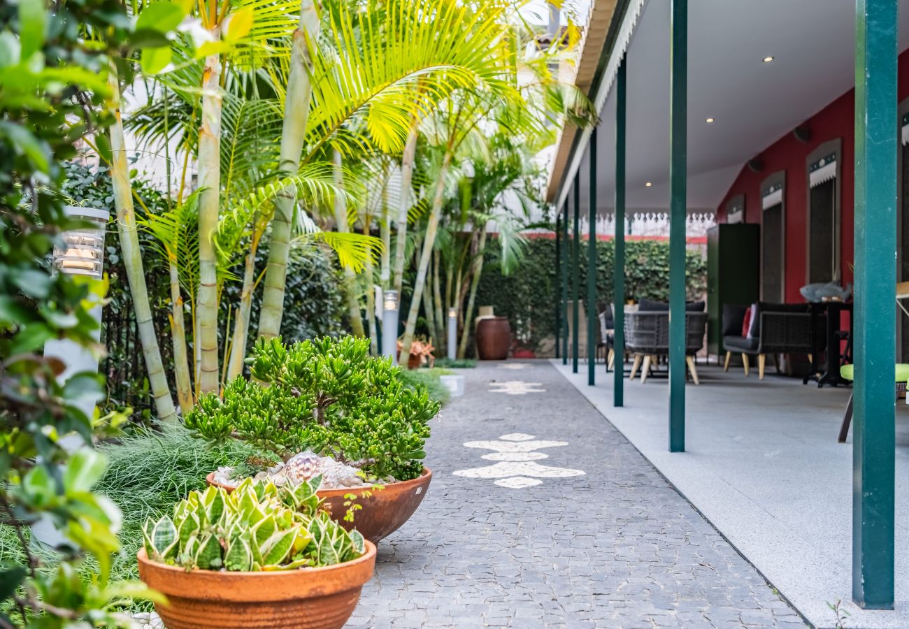 House in Ponta do Sol - Quinta da tia Briosa, Casa da Avó House in Ponta do Sol - Quinta da tia Briosa, Casa da Avó