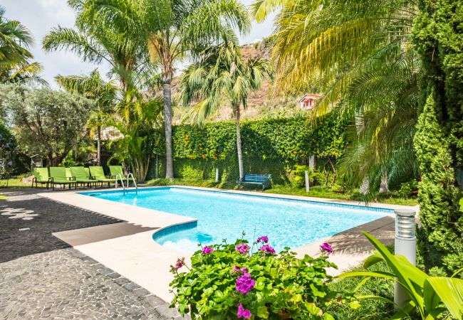 Apartment in Ponta do Sol - Quinta da Tia Briosa, Palheiro II Apartment in Ponta do Sol - Quinta da Tia Briosa, Palheiro II