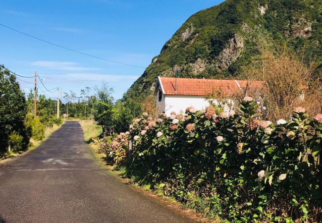 Cottage in Porto Moniz - Retiro na Natureza by Madeira Sun Travel Cottage in Porto Moniz - Retiro na Natureza by Madeira Sun Travel