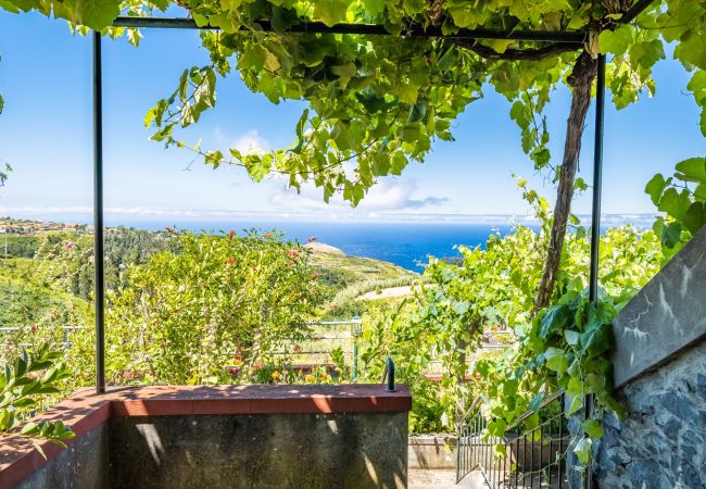 Cottage in Ponta do Pargo - Rainbow Cottage by Madeira Sun Travel Cottage in Ponta do Pargo - Rainbow Cottage by Madeira Sun Travel