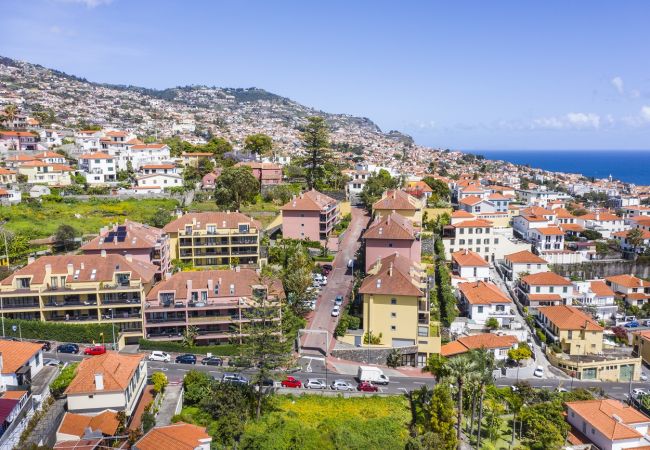 Apartment in Funchal - Living Funchal by Madeira Sun Travel Apartment in Funchal - Living Funchal by Madeira Sun Travel