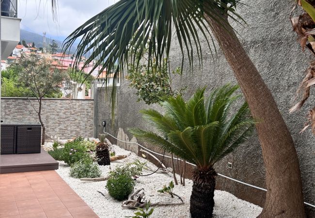 Apartment in Funchal - Home to Stay by Madeira Sun Travel Apartment in Funchal - Home to Stay by Madeira Sun Travel