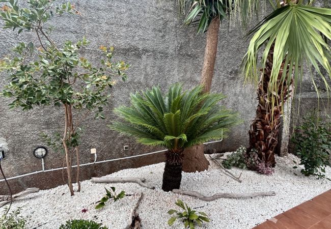 Apartment in Funchal - Home to Stay by Madeira Sun Travel Apartment in Funchal - Home to Stay by Madeira Sun Travel