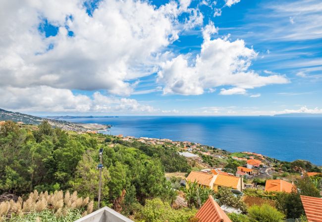 House in Gaula - Casa José António B by Homie House in Gaula - Casa José António B by Homie